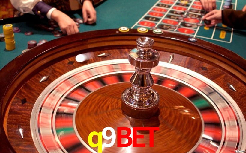 Interface Premium q9bet